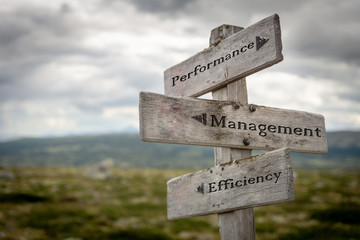 performance, management and efficiency on wooden road sign outdoors in nature.