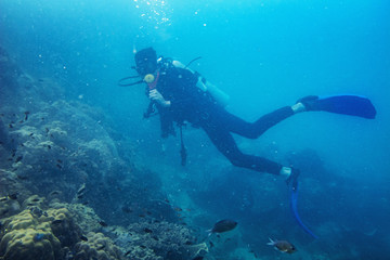 Scuba diver diving on tropical reef with blue background and reef fish at Gulf of Thailand