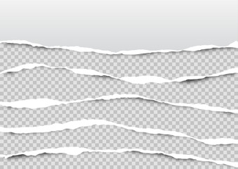 Obraz premium Torn paper on transparent background with space for text. Vector illustration. 