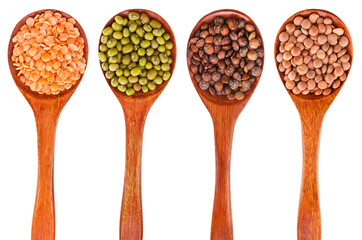 Collection of various lentils in a wooden spoons isolated on a white background. Top view.