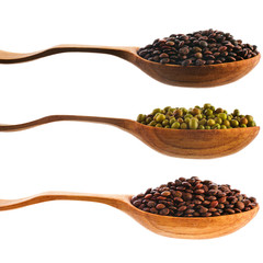 Collection of various lentils in a wooden spoons isolated on a white background.