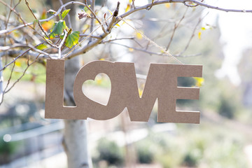 Valentine's Day signs and symbols