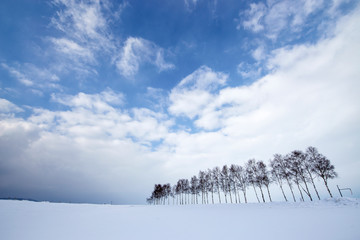 Landscape of Biei Winter in Hokkaido Japan