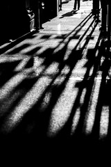 Person shadow in the black and white photo