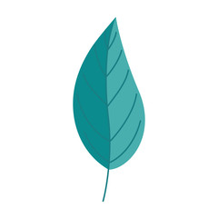 leaf plant nature isolated icon vector illustration design