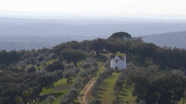 Evoramonte landscape view olive trees in Alentejo, Portugal