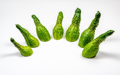 A set of green cucumbers laid out in an abstract image on a flat white surface