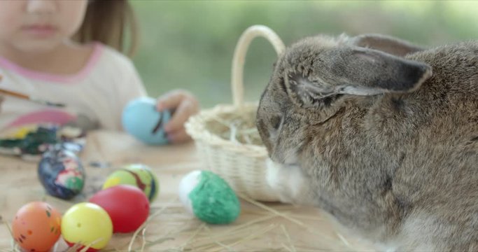 A gray adorable rabbit is cleans its body on easter festive desk with asian little girl coloring easter eggs with colors and brush. Preparation of the Easter. Close up, slow motion
