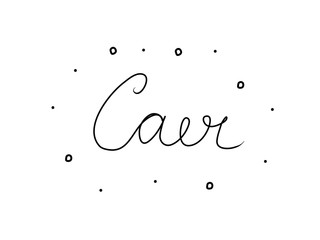 Caer phrase handwritten with a calligraphy brush. Autumn in spanish. Modern brush calligraphy. Isolated word black