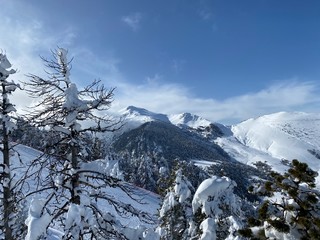 Paisaje nevado