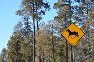 Free roaming horses caution sign. Payson, Gila County, Tonto National Forest, Arizona USA