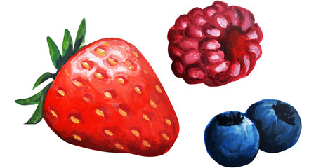  illustration of gouache berries © Bulgakova Kristina