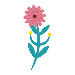 cute flower with branch and leafs isolated icon vector illustration design