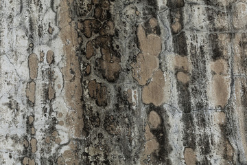 Old concrete wall texture background