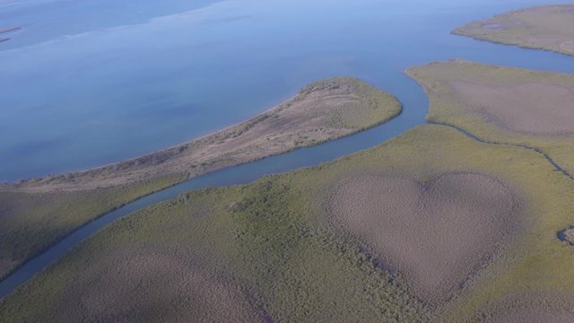 Beautiful shot from a plane of mangroves creating a heart shape with water stream nearby in a tropical area during the day.