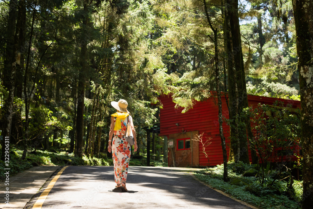 Wall mural woman hiking in the forest at xitou