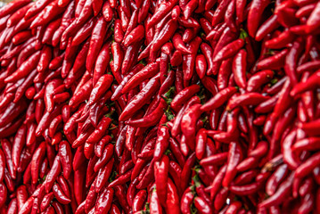 Close up view of hanging hot dried chili peppers on the local farmers market Mercado dos Lavradores in Funchal Madeira