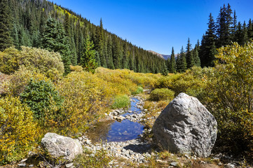 Grizzly Gulch
