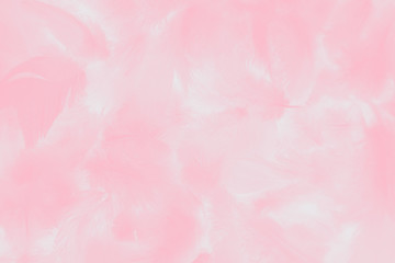Beautiful abstract colorful white and pink feathers on white background and soft white feather texture on white pattern and light pink background valentine day