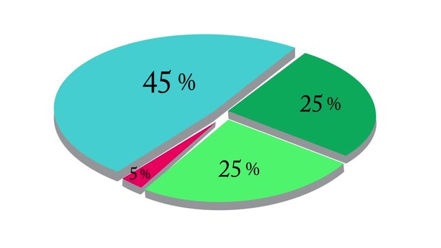 simple animated pie chart with numbers. video saver.