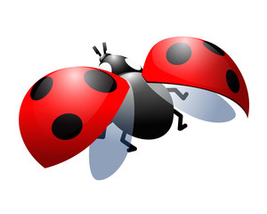 single simple red ladybug with opened spotted wings, symbol of bright colors, for logo, icon or emblem, vector illustration isolated on white background in clip art style