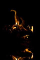 燃えている綺麗な炎