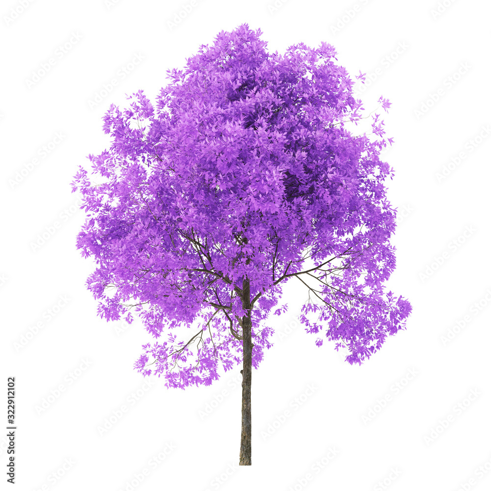 Wall mural tree on a white background. tree with purple foliage. clipping path included. 3d rendering.