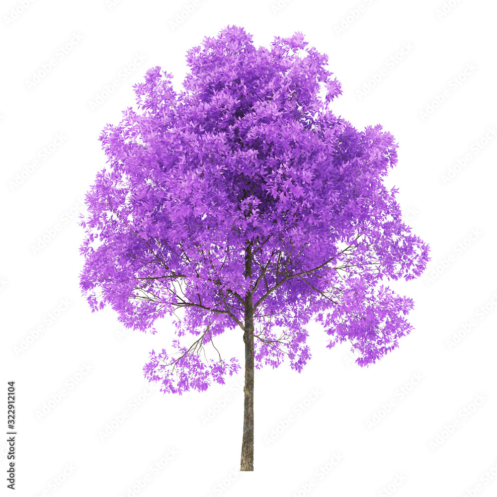 Wall mural tree on a white background. tree with purple foliage. clipping path included. 3d rendering.
