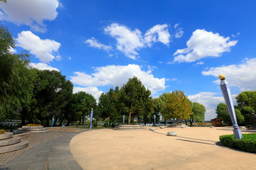 Obraz premium Park greening scenery