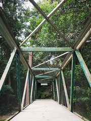 A bridge in the forest