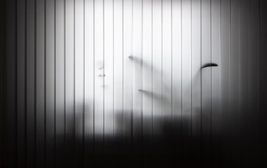 Vertical white blinds are closed. Against the background, flowers standing on the windowsill are partially translucent.