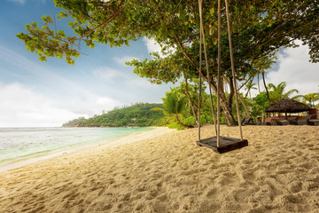 Rope swing on a tropical beach in Seychelles. Exotic palm trees and blue sky. Holiday serenity vacation concept