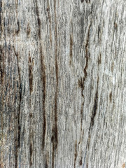 An image of an old weathered wood surface for use as a design and graphic background.
