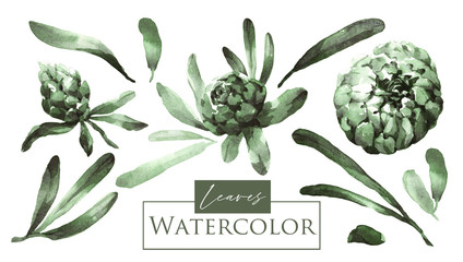 set of watercolor leaves - obrazy, fototapety, plakaty