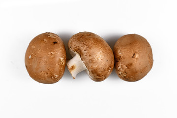 Raw brown button mushrooms on white background