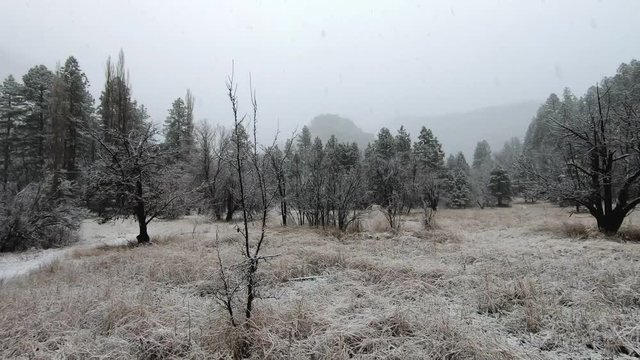 Pan across a snow-covered field, Sedona, Arizona