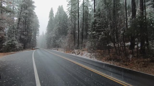 The first heavy wet snowfall of the year falls on route 89A between Sedona and Flagstaff.