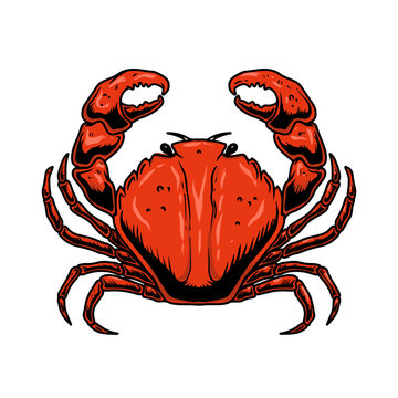 Illustration of crab in engraving style isolated on white background. Design element for logo, label, sign, poster, banner, card.