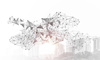 Fototapeta premium Abstract network with polygonal shapes