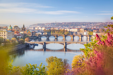 Fototapeta na wymiar View over skyline of Prague old town with Charles bridge in spring
