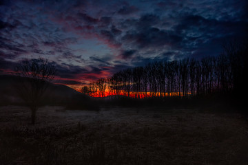 storm clouds over the forest