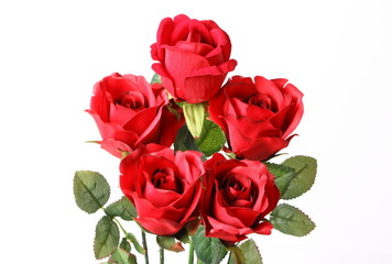 Bouquet of beautiful red roses on white background
