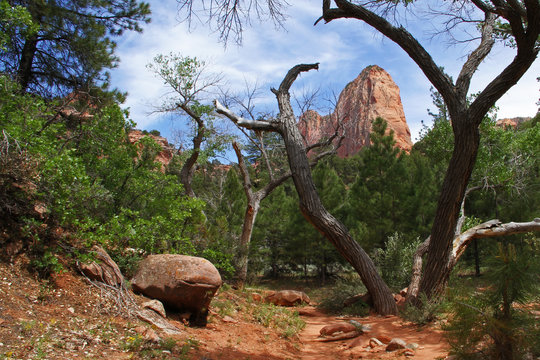 Hiking the middle taylor creek trail in the Kolob Canyons portion of Zion National Park, Utah