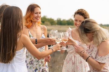 The company of female friends enjoys a summer picnic and raise glasses with wine