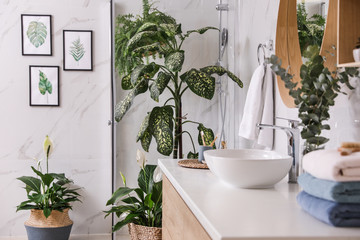 Fototapeta na wymiar Green plants in elegant modern bathroom. Interior design