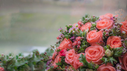 Blurred Beautiful bouquet of coral roses. Valentines Day, wedding or Mother day background. Fowers present. Big bunch