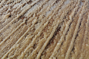 Frozen texture structure