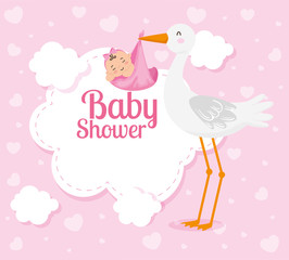 baby shower card with cute stork and decoration vector illustration design