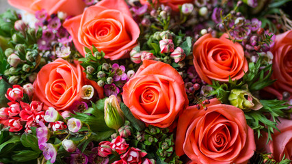 Beautiful living coral roses flowers bouquet, romantic relationship and floral design concept, luxury bouquet flowers as holiday love present on Valentines Day, mother day, weeding