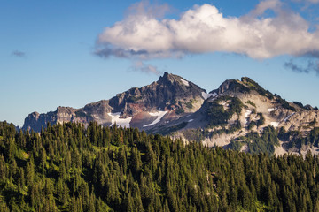 Mountains, Trees, and Clouds at Mt. Rainier National Park, Washington